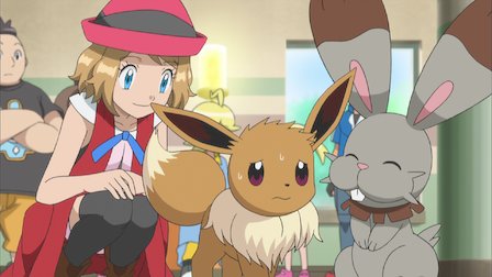 Pokémon The Series Xy Netflix